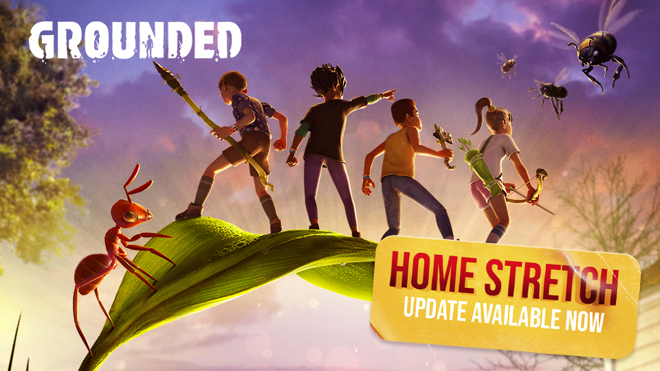 Grounded Heads into the Home Stretch Header Image